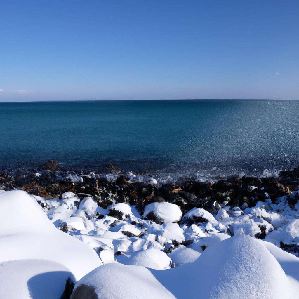 北海道の海での特徴