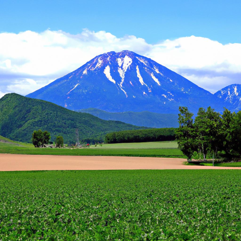 北海道における散骨の利点